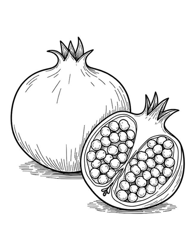 Pomegranate cut open coloring page